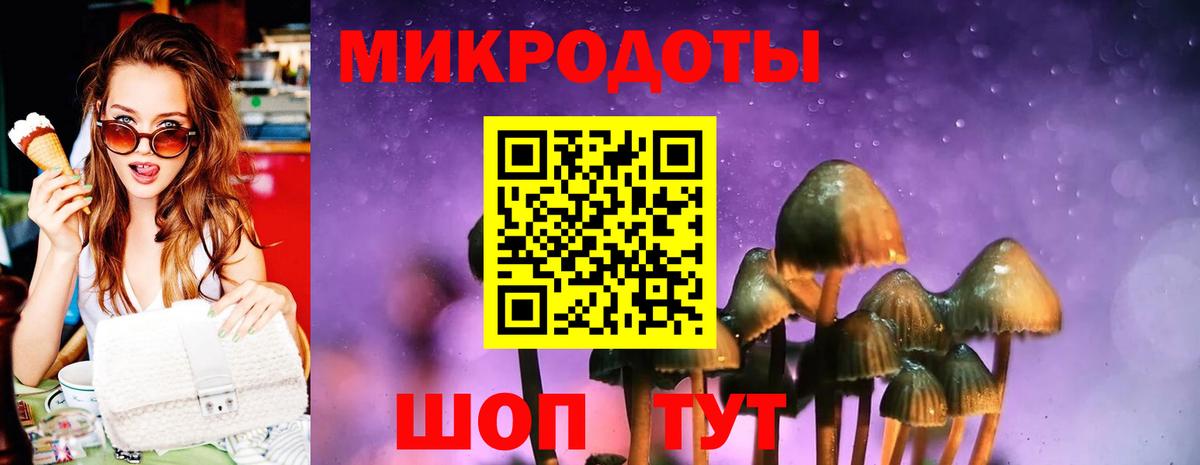 Галлюциногенные грибы мухоморы  Вход с VPN  Заводоуковск 